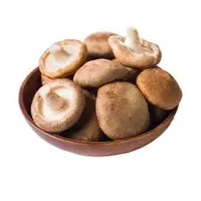 japanese mushroom shiitake