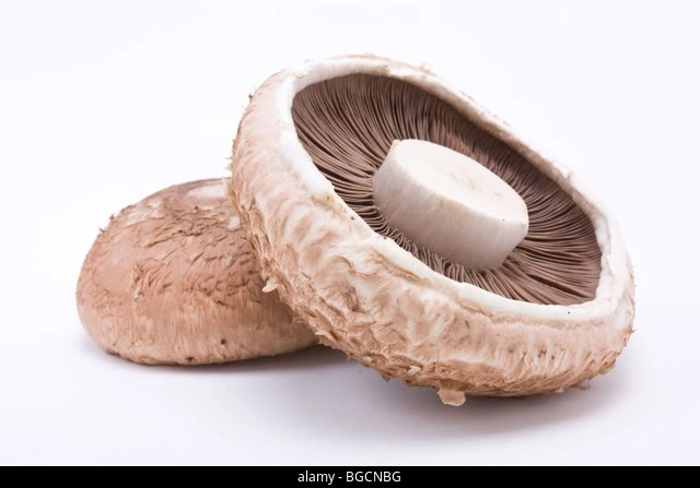 delivery fresh portobello mushrooms delivery fresh portobello mushrooms