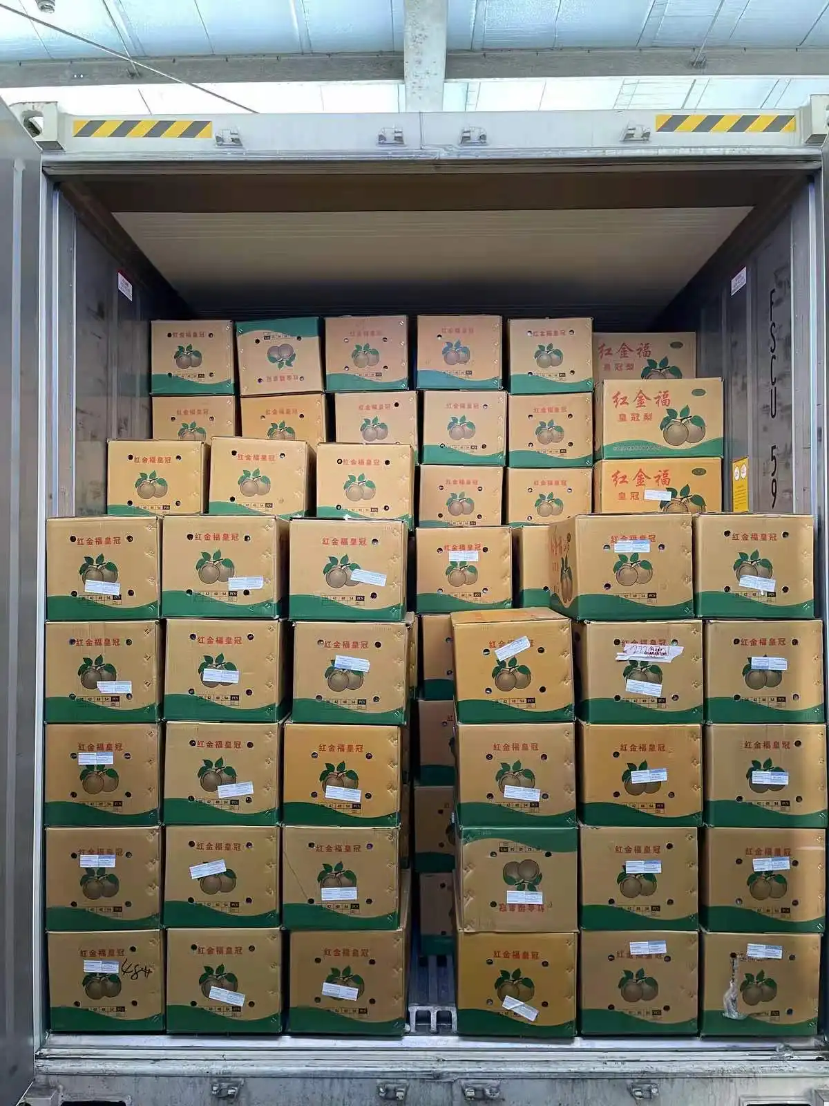 delivery 20th Century pear