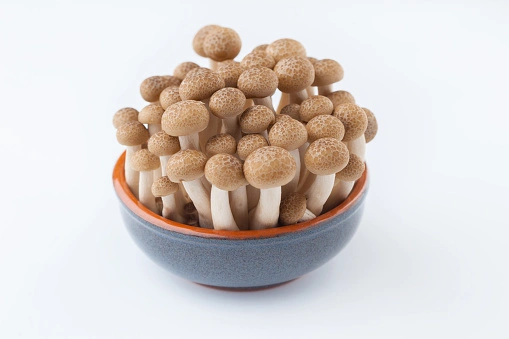 black shimeji mushroom black shimeji mushroom