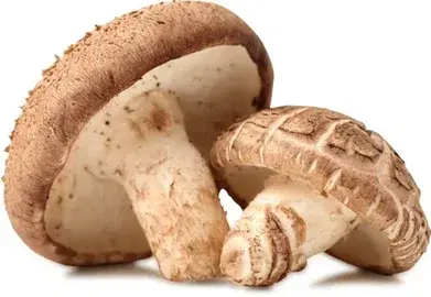 fresh organic shiitake mushrooms fresh organic shiitake mushrooms