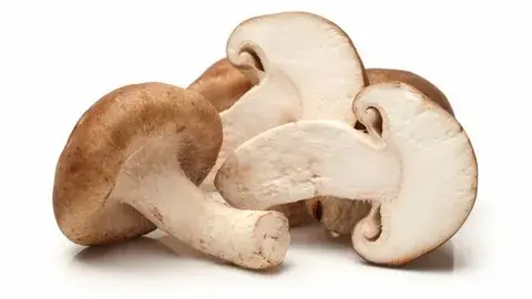 shitake fresh shitake fresh