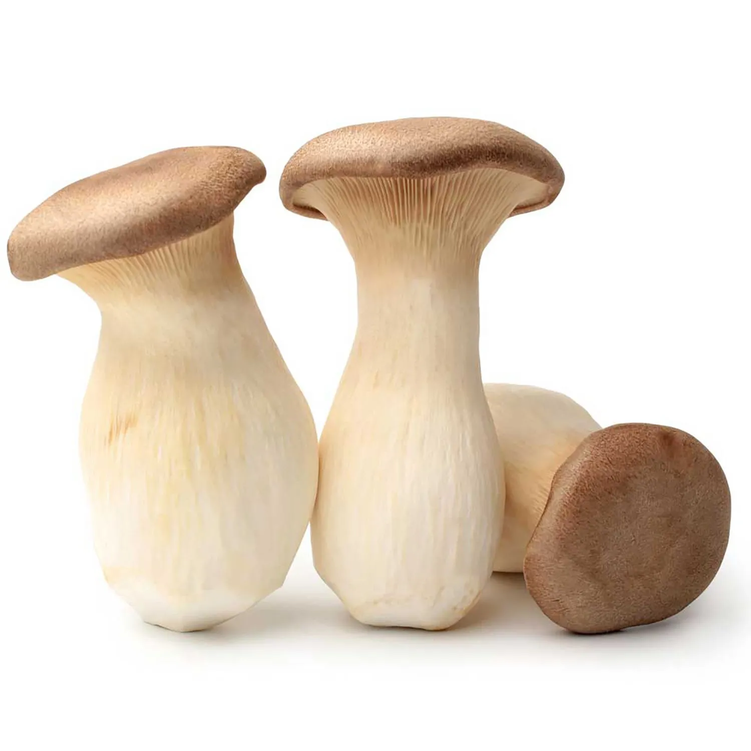 delivery king oyster mushroom 200g