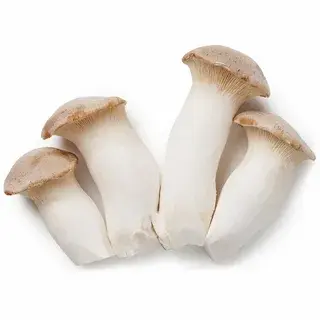 eryngii mushroom