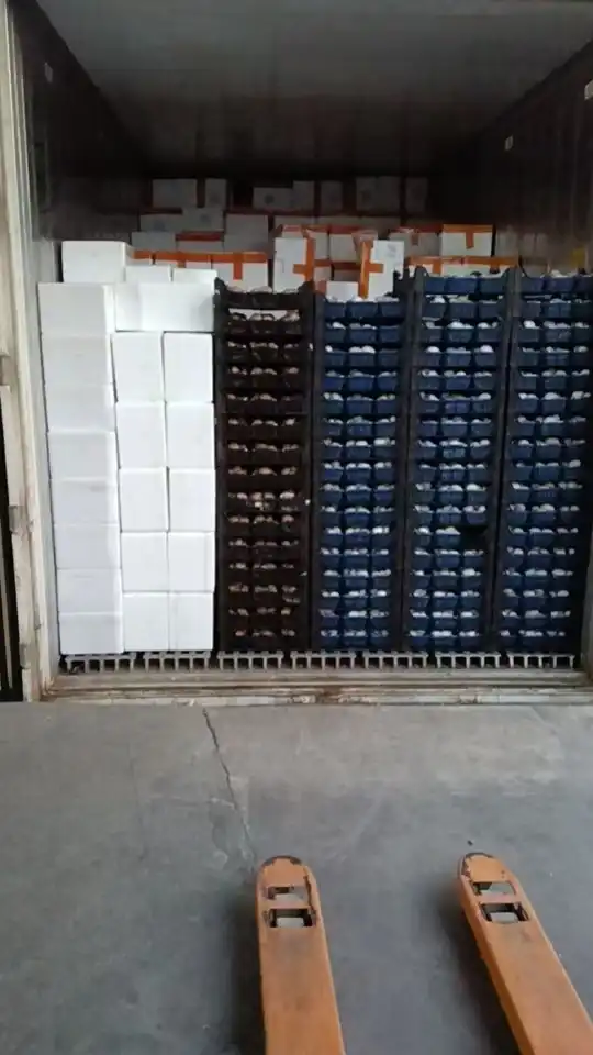 delivery eryngii mushroom delivery eryngii mushroom