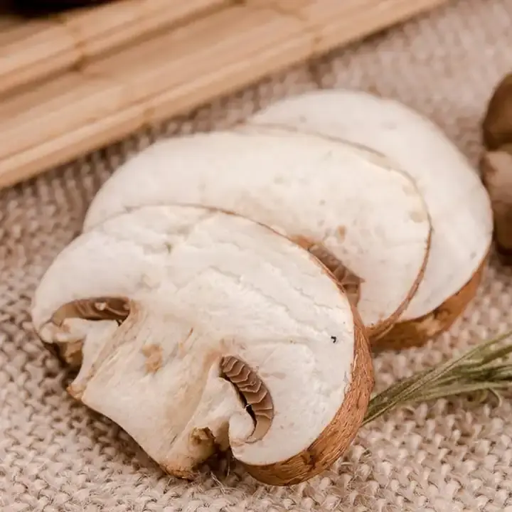 fresh portobello mushrooms fresh portobello mushrooms