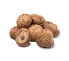 delivery fresh shiitake mushroom delivery fresh shiitake mushroom