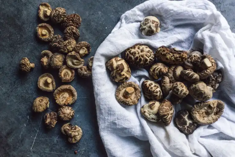 shiitake mushrooms dried