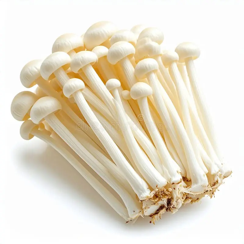 white enoki mushrooms
