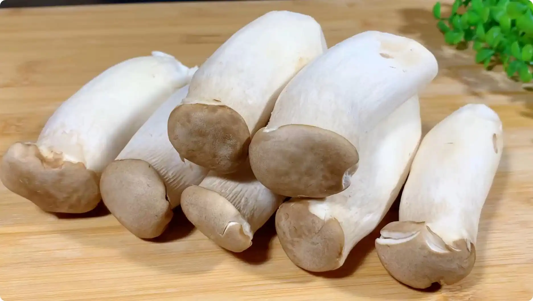eryngii mushroom eryngii mushroom