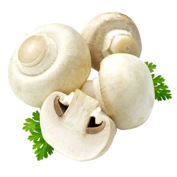 fresh white button mushrooms fresh white button mushrooms
