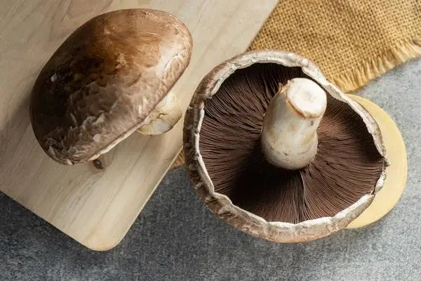 fresh portobello mushrooms