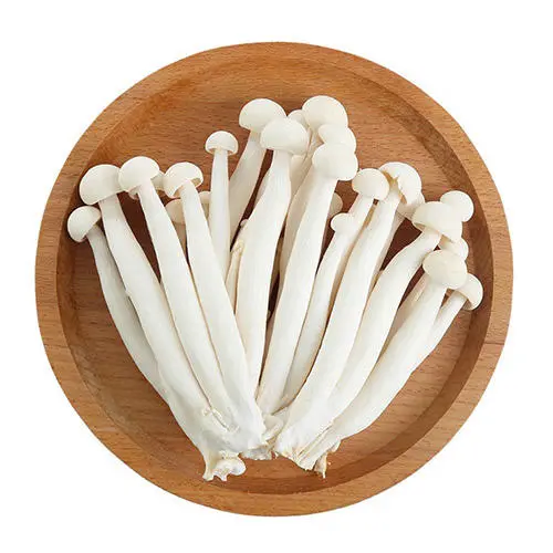 seafood mushrooms
