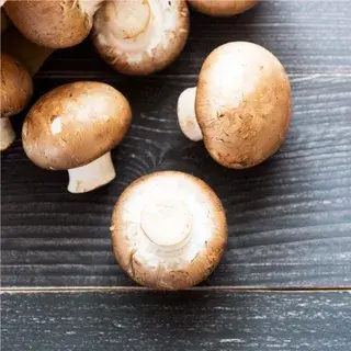 Swiss brown mushroom