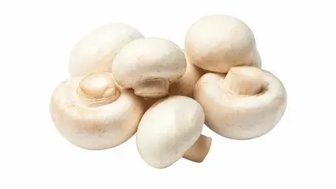 fresh white button mushrooms fresh white button mushrooms