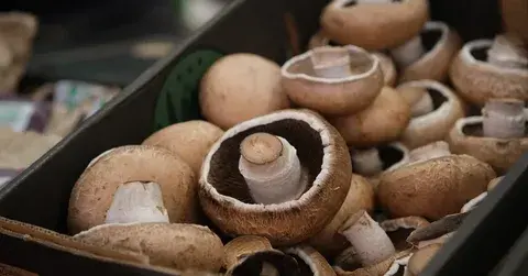 fresh portobello mushrooms