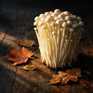 white enoki mushrooms