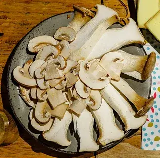 eryngii mushroom eryngii mushroom