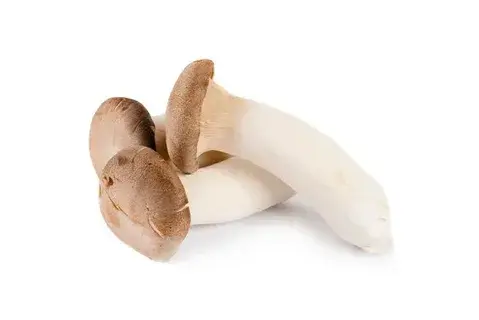 eryngii mushroom
