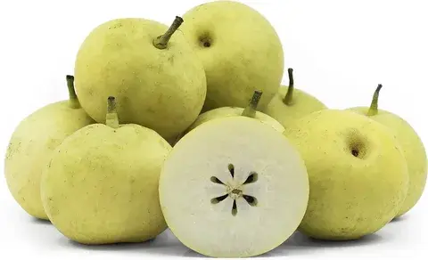 20th Century Asian pear