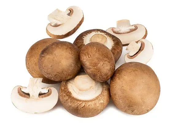 Swiss brown mushrooms Swiss brown mushrooms