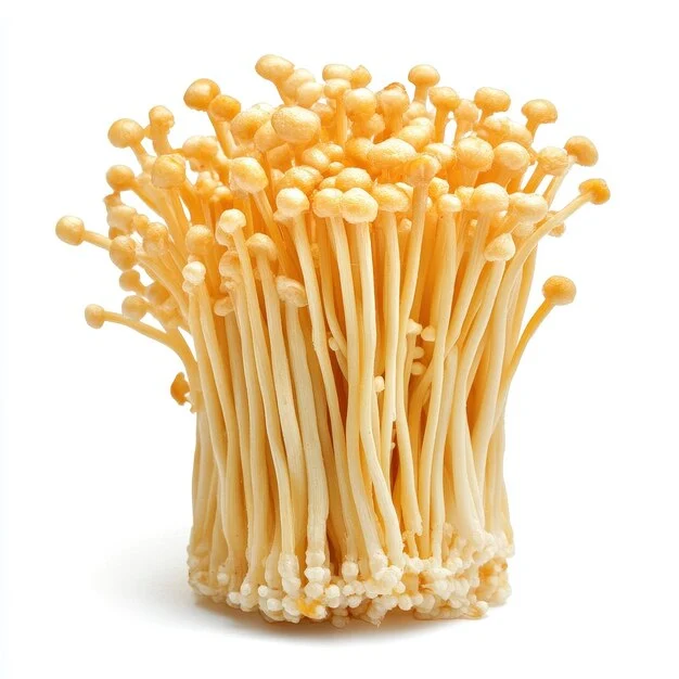 golden enoki mushroom