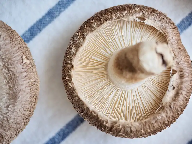  fresh shiitake mushrooms
