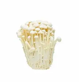 White enoki mushrooms White enoki mushrooms