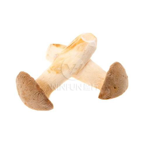 פטריית ארינגלי