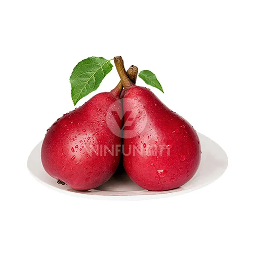 ສີແດງ Anjou Pear