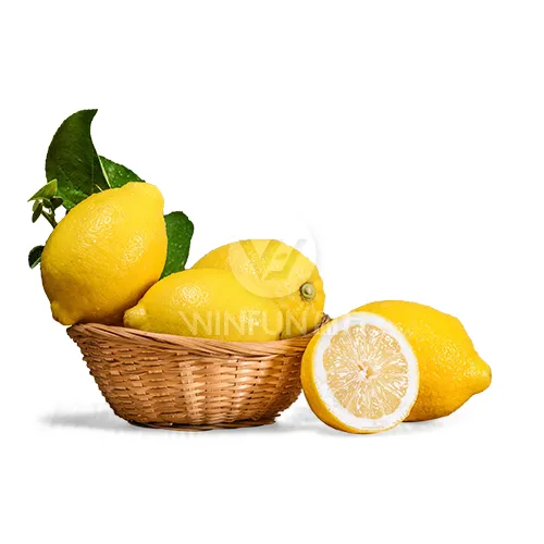 신선한 메이어 레몬