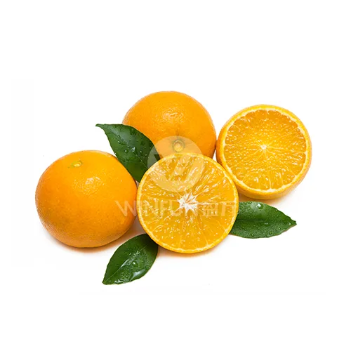 Jelly Orange