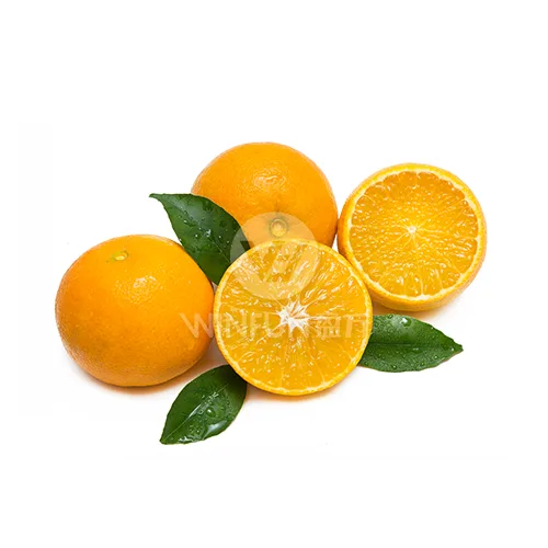 Laranja gelatina