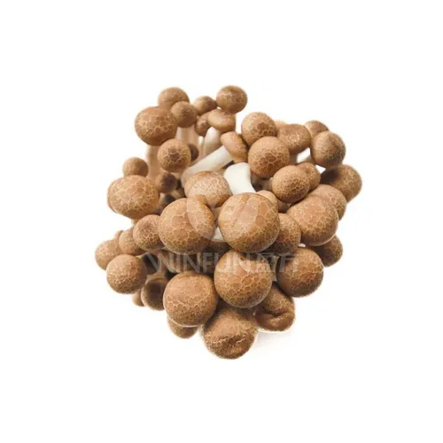 crab flavored mushroom