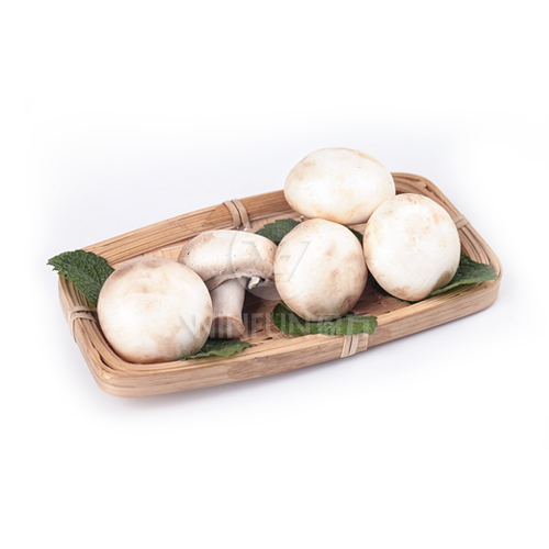 fresh bowl button mushroom