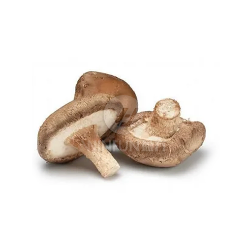 shiitake japanese mushrooms
