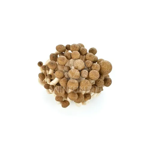 shimeji mushroom brown