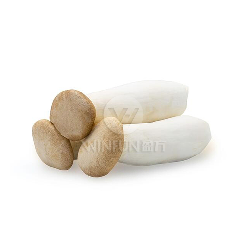 giant king oyster mushroom