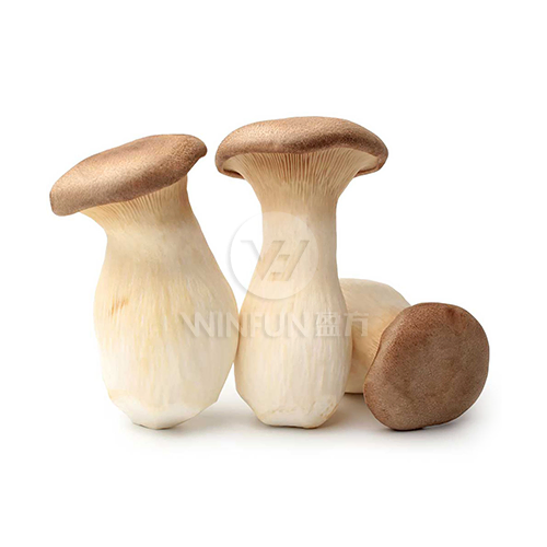 king oyster mushroom 200g